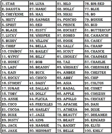 Top 100 Horse Names Cowgirl Times